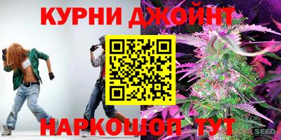 сатива Жуковский