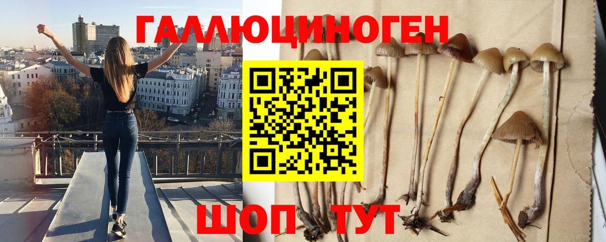 Псилоцибиновые грибы Cubensis  Галлюциногенные грибы Magic Shrooms  Вход с VPN  Миллерово 