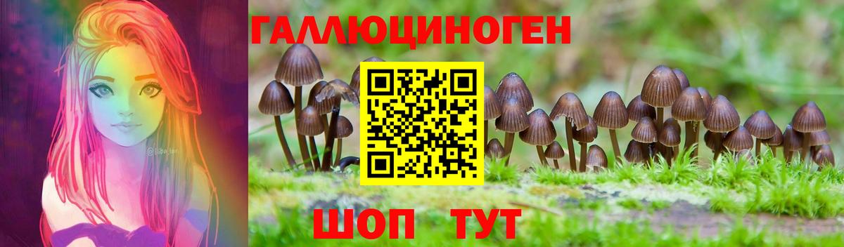 Галлюциногенные грибы Cubensis Миллерово